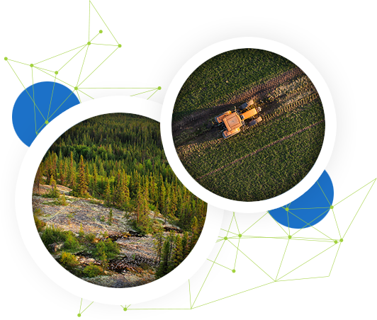 Niocan's projects