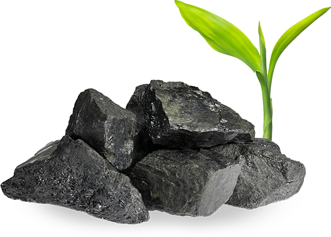 Niocan rock & plant