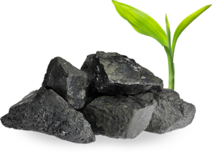 Niocan rock & plant